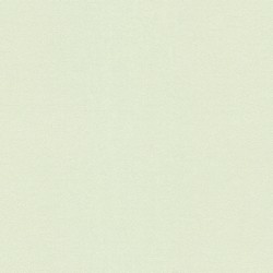 Обои 35866-2 As Creation Original View 0.53x10.05