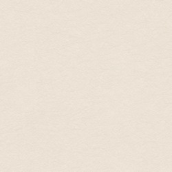 Обои 35866-7 As Creation Original View 0.53x10.05