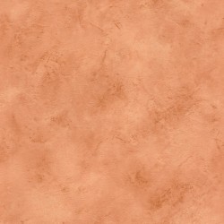 Обои Rasch Finca 417012