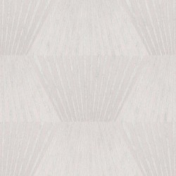 Обои AS Creation Titanium-3 38204-5